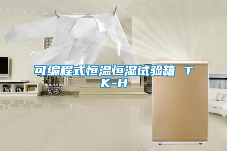 可编程式恒温恒湿试验箱 TK-H