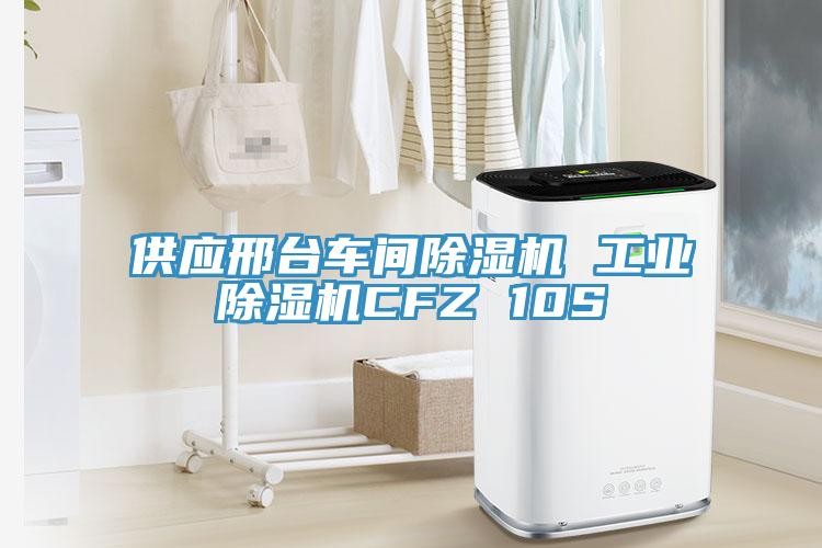 供应邢台车间除湿机 工业除湿机CFZ 10S