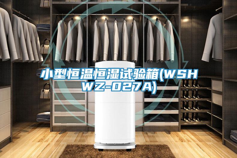小型恒温恒湿试验箱(WSHWZ-027A)