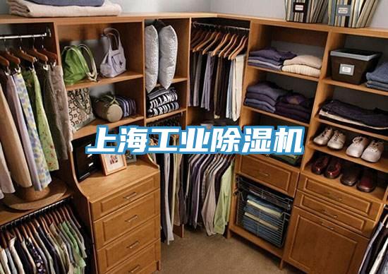 上海工业除湿机