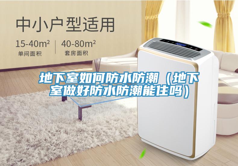 地下室如何防水防潮（地下室做好防水防潮能住吗）
