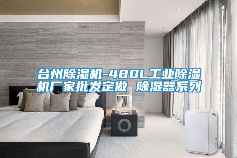 台州除湿机-480L工业除湿机厂家批发定做 除湿器系列