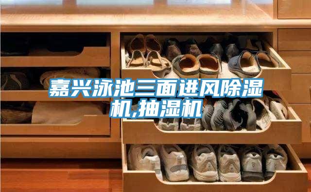 嘉兴泳池三面进风除湿机,抽湿机