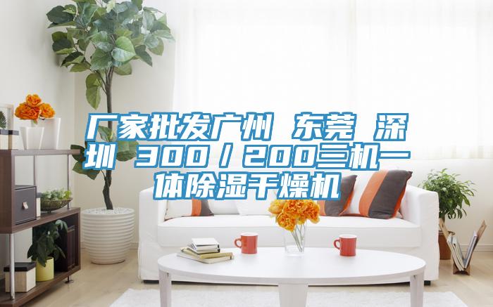 厂家批发广州 东莞 深圳 300／200三机一体除湿干燥机