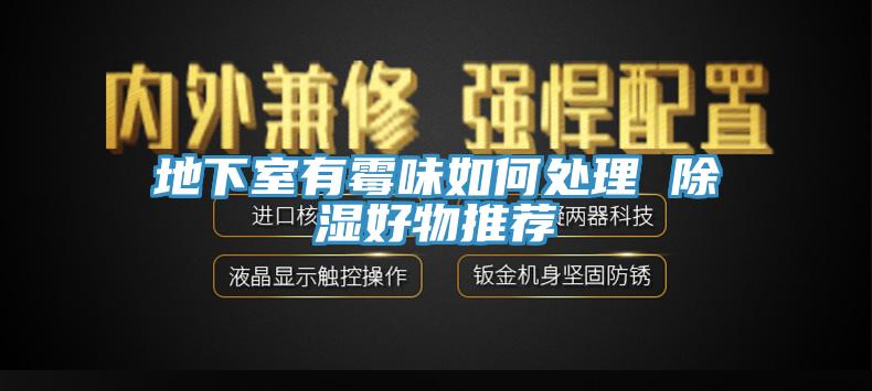 地下室有霉味如何处理 除湿好物推荐