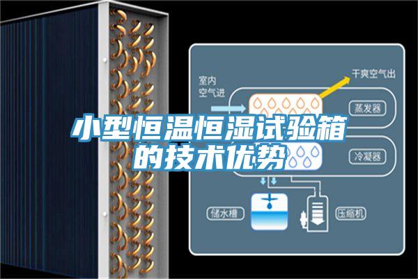 小型恒温恒湿试验箱的技术优势