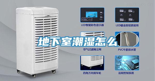 地下室潮湿怎么