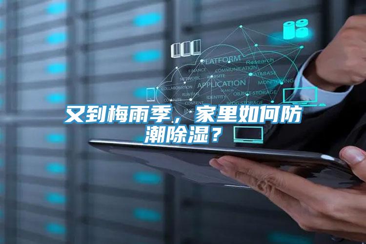 又到梅雨季，家里如何防潮除湿？