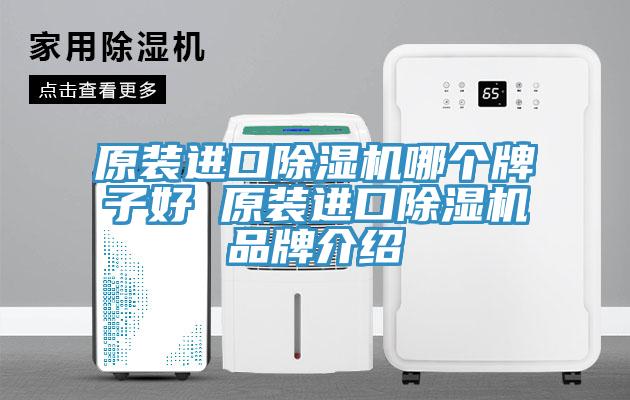 原装进口除湿机哪个牌子好 原装进口除湿机品牌介绍