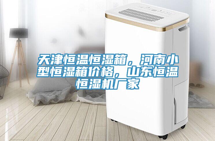天津恒温恒湿箱，河南小型恒湿箱价格，山东恒温恒湿机厂家
