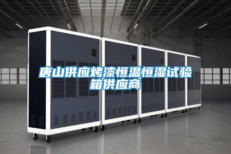 唐山供应烤漆恒温恒湿试验箱供应商