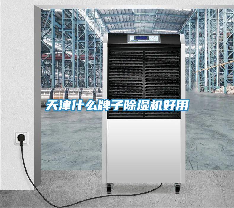 天津什么牌子除湿机好用