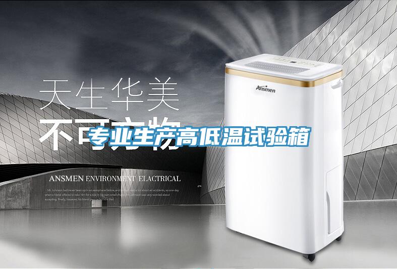 专业生产高低温试验箱