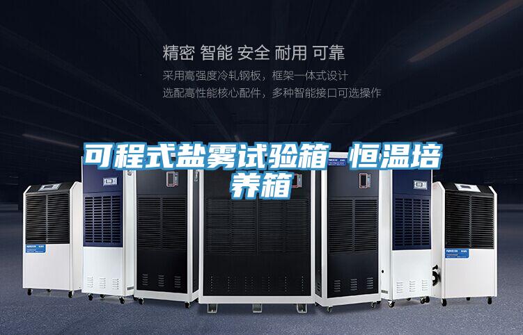 可程式盐雾试验箱 恒温培养箱