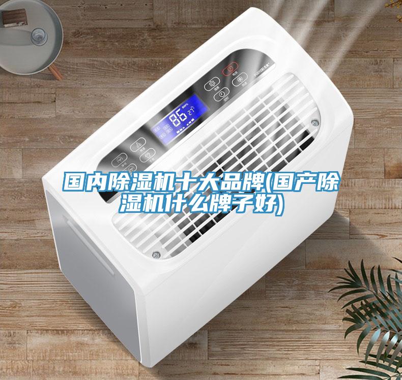 国内除湿机十大品牌(国产除湿机什么牌子好)