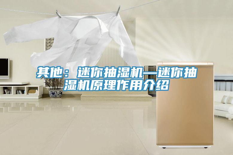 其他：迷你抽湿机—迷你抽湿机原理作用介绍