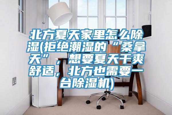 北方夏天家里怎么除湿(拒绝潮湿的“桑拿天”，想要夏天干爽舒适，北方也需要一台除湿机)