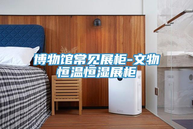 博物馆常见展柜-文物恒温恒湿展柜