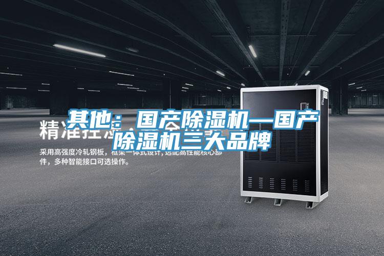 其他：国产除湿机—国产除湿机三大品牌