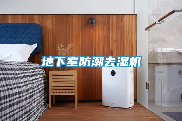 地下室防潮去湿机