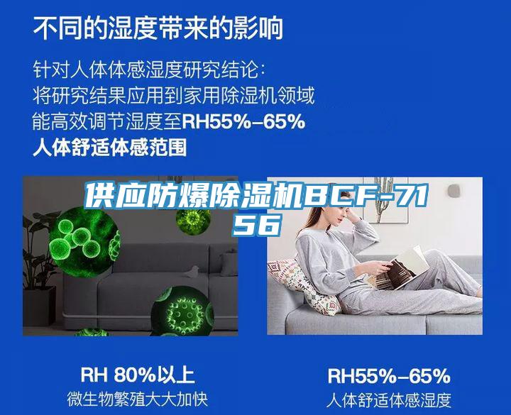 供应防爆除湿机BCF-7156