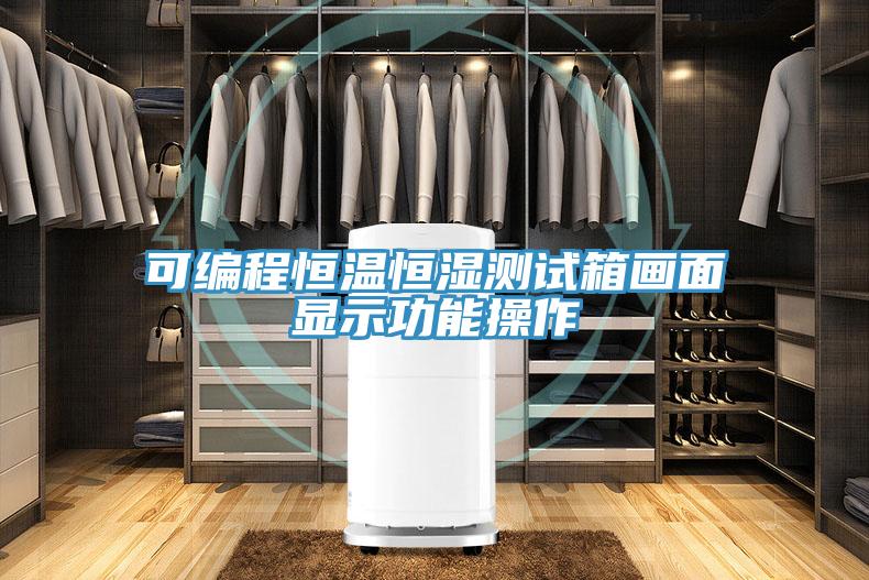 可编程恒温恒湿测试箱画面显示功能操作