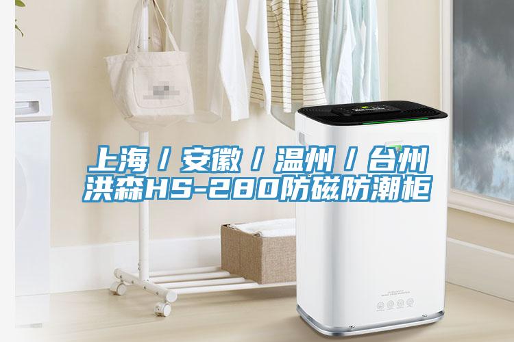 上海／安徽／温州／台州洪森HS-280防磁防潮柜