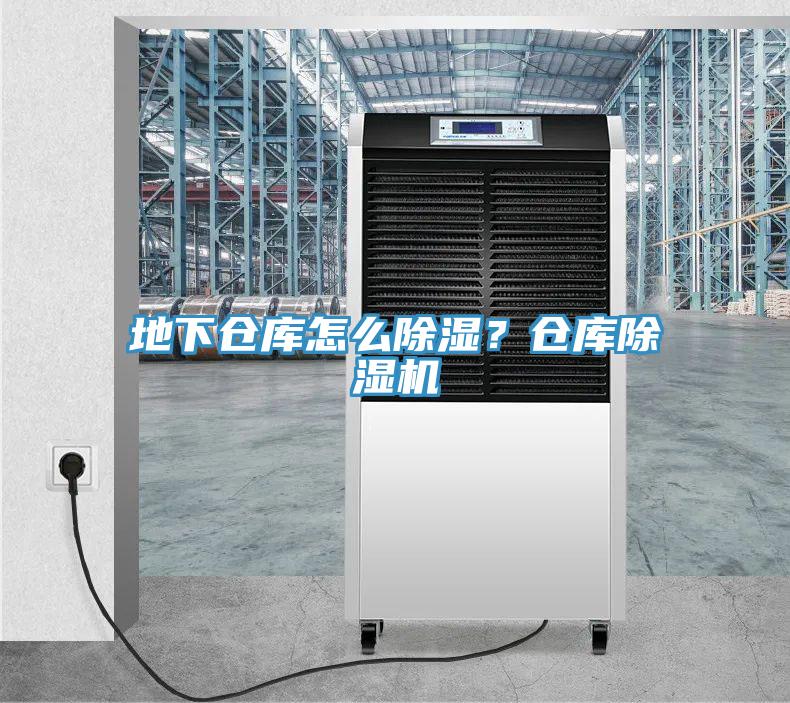 地下仓库怎么除湿？仓库除湿机
