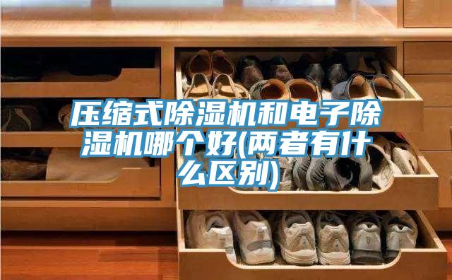 压缩式除湿机和电子除湿机哪个好(两者有什么区别)