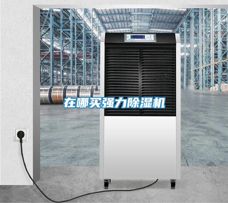 在哪买强力除湿机