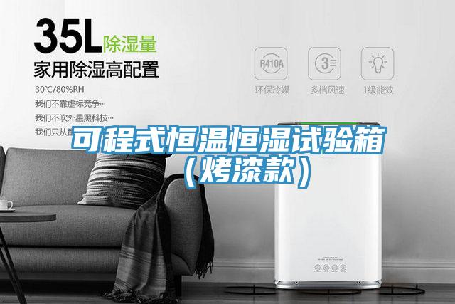 可程式恒温恒湿试验箱（烤漆款）