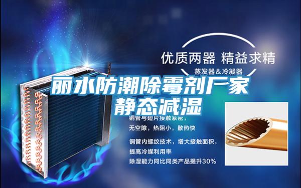 丽水防潮除霉剂厂家 静态减湿
