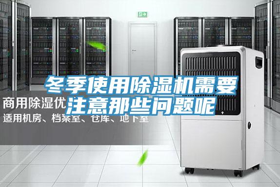 冬季使用除湿机需要注意那些问题呢
