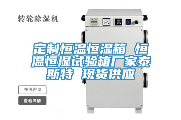 定制恒温恒湿箱 恒温恒湿试验箱厂家泰斯特 现货供应
