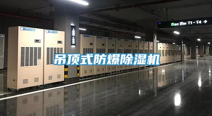 吊顶式防爆除湿机