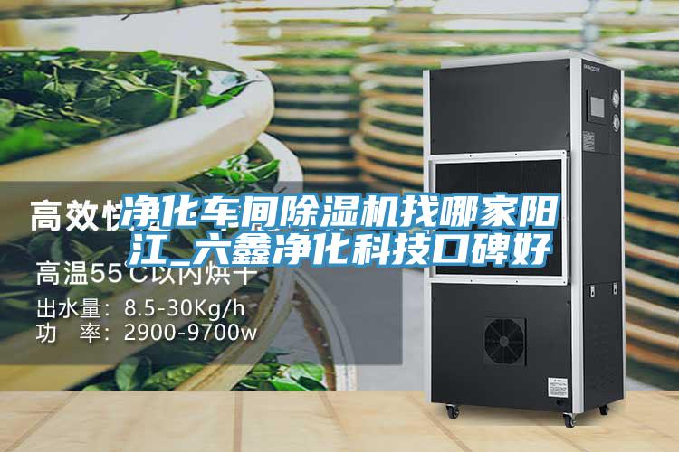 净化车间除湿机找哪家阳江_六鑫净化科技口碑好