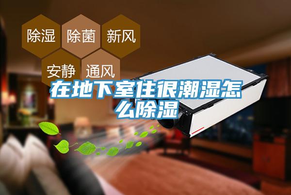 在地下室住很潮湿怎么除湿