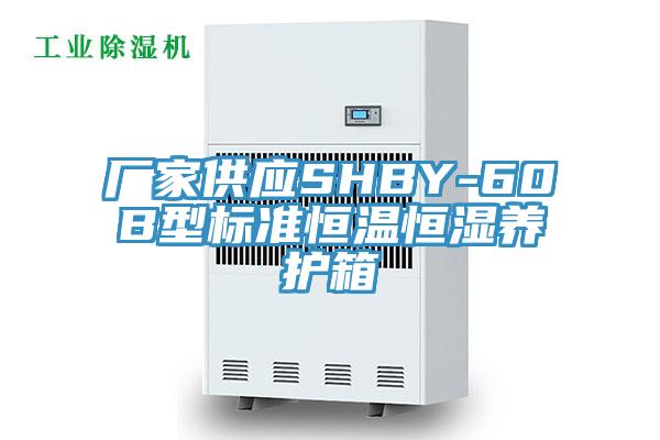 厂家供应SHBY-60B型标准恒温恒湿养护箱