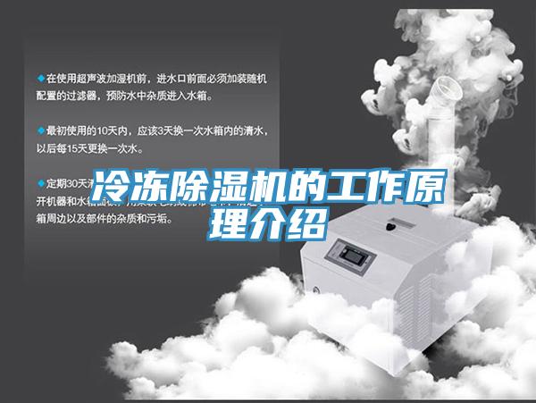 冷冻除湿机的工作原理介绍