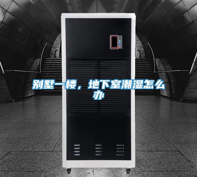 别墅一楼，地下室潮湿怎么办