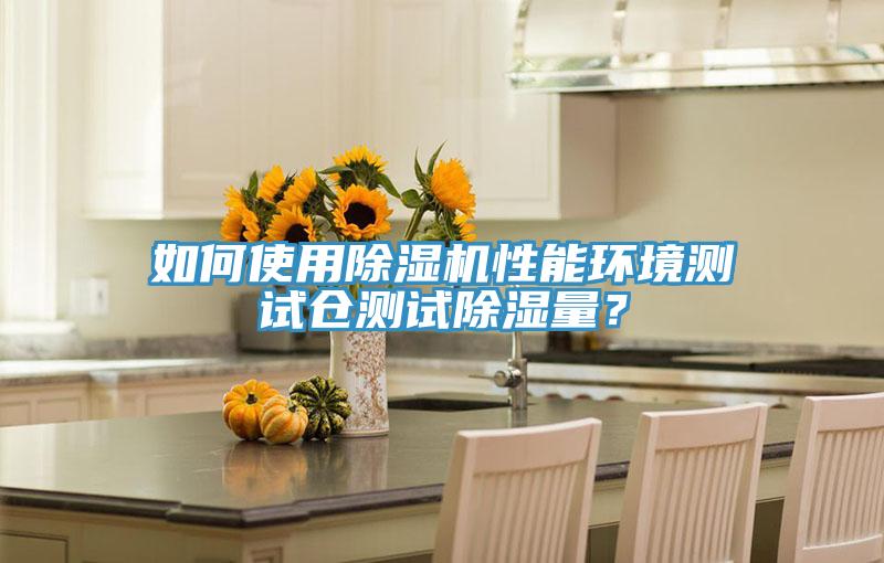 如何使用除湿机性能环境测试仓测试除湿量?