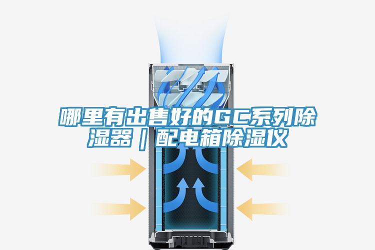 哪里有出售好的GC系列除湿器｜配电箱除湿仪