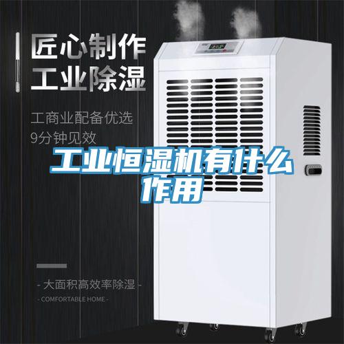 工业恒湿机有什么作用
