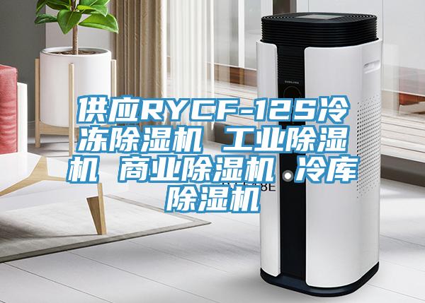 供应RYCF-12S冷冻除湿机 工业除湿机 商业除湿机 冷库除湿机