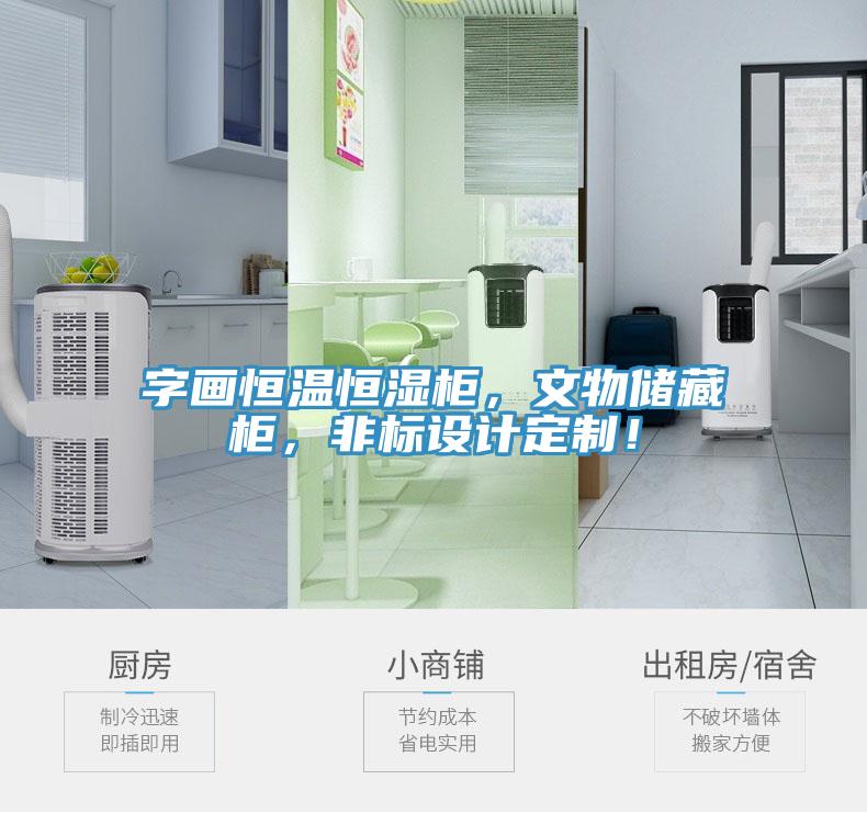 字画恒温恒湿柜，文物储藏柜，非标设计定制！