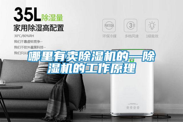 哪里有卖除湿机的—除湿机的工作原理