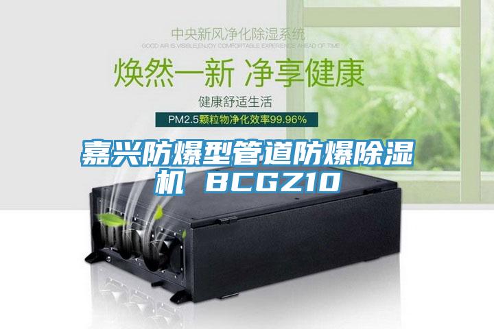 嘉兴防爆型管道防爆除湿机 BCGZ10