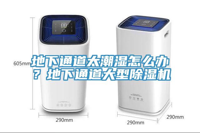 地下通道太潮湿怎么办？地下通道大型除湿机