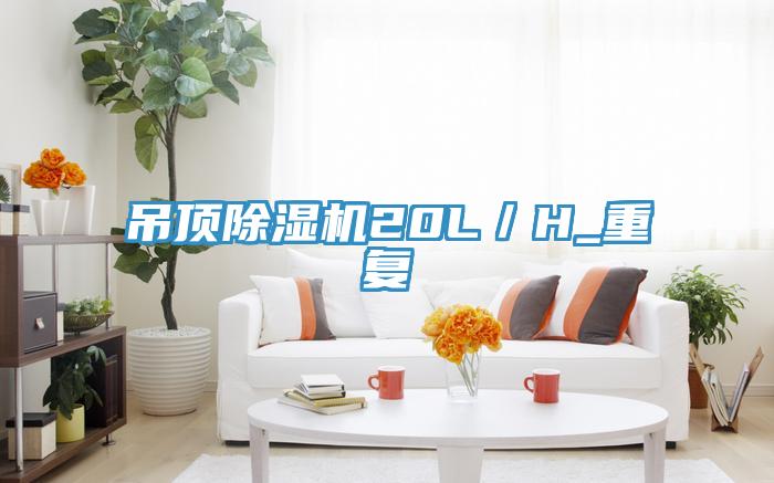 吊顶除湿机20L/H_重复