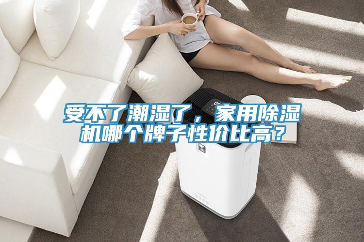 受不了潮湿了，家用除湿机哪个牌子性价比高？